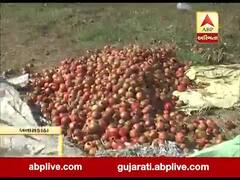 મુદ્દાની વાતઃ દાડમની ખેતી કરતા ખેડૂતો પરેશાન, જુઓ અહેવાલ 