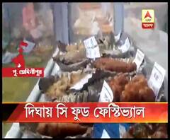 দিঘায় শুরু সি-ফুড ফেস্টিভ্যাল, মিলবে বিভিন্ন প্রজাতির মাছ ও সামুদ্রিক প্রাণী