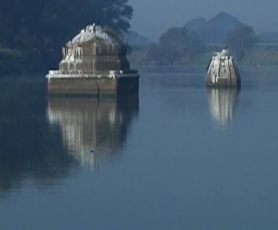 Niphad Temperature | निफाडमध्ये तापमानाचा पारा घसरला, सर्वत्र धुक्याची चादर | नाशिक | ABP Majha