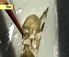 সিমলায় পুকুরের জল জমে বরফ