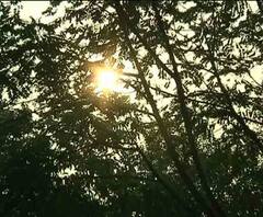 কলকাতা সহ দক্ষিণবঙ্গে ফের পারদ পতন, আজ রাতে তাপমাত্রা আরও নামার সম্ভাবনা