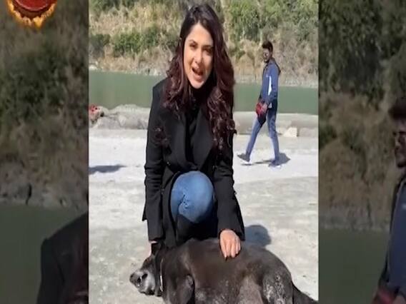 ऋषिकेश में कुछ इस अंदाज में नजर आईं Jennifer Winget