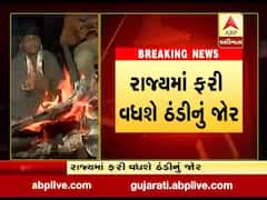 રાજ્યમાં આગામી 48 કલાકમાં કોલ્ડ વેવની હવામાન વિભાગની આગાહી, જુઓ વીડિયો