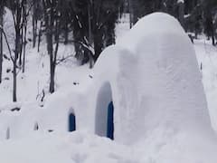 भारत के इस शहर में बनाया गया इग्लू विलेज 