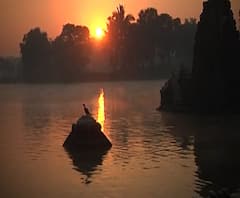 Nashik Temperature | नाशकात हाडं गोठवणारी थंडी, पाण्यावरही धुक्याची चादर | ABP Majha