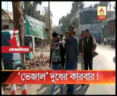 নামমাত্র গরুর দুধের সঙ্গে অন্য সামগ্রী মিশিয়ে ব্যবসা, কোচবিহারে ভেজাল দুধের কারবারের পর্দাফাঁস!