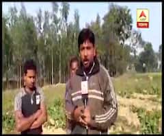 Reporter Stories: জঙ্গলে খাবার না পেয়ে বাঁকুড়ায় লোকালয়ে হাতি