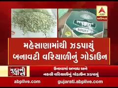 મુદ્દાની વાતઃ બનાવટી વરિયાળીનો પર્દાફાશ, જુઓ અહેવાલ