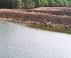 Rural News | माझं गाव माझा जिल्हा | राज्याच्या कानाकोपऱ्यातील बातम्यांचा आढावा | ABP Majha