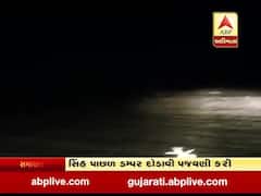  ભાવનગરઃ સિંહ પાછળ ડમ્પર દોડાવી પજવણી કરાઇ, જુઓ વીડિયો 