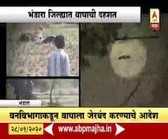 Tiger Attack | भंडारा जिल्यात वाघाची दहशत, 15 दिवसात चार जणांवर हल्ला | स्पेशल रिपोर्ट | ABP Majha
