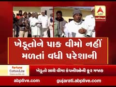 મુદ્દાની વાતઃ આ ખેડૂતોને પાક વીમનો નહીં મળતાં વધી પરેશાની, જુઓ અહેવાલ