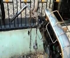 Rural News | माझं गाव माझा जिल्हा | गावाकडच्या बातम्यांचा वेगवान आढावा | ABP Majha