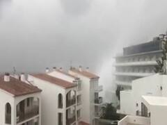 Watch top viral news of the world