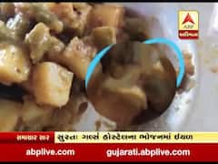 વીર નર્મદ યુનિવર્સિટીમાં ગર્લ્સ હોસ્ટેલના ભોજનમાંથી નીકળી ઇયળ, જુઓ વીડિયો