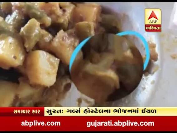 વીર નર્મદ યુનિવર્સિટીમાં ગર્લ્સ હોસ્ટેલના ભોજનમાંથી નીકળી ઇયળ, જુઓ વીડિયો