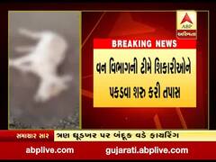 કચ્છઃ નાના રણમાં ગોળીબારમાં 3 ઘૂડખરના મોત