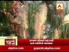 મુદ્દાની વાતઃ આ છે ગુજરાતની સૌથી મોટી નર્સરી, જુઓ અહેવાલ