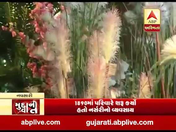 મુદ્દાની વાતઃ આ છે ગુજરાતની સૌથી મોટી નર્સરી, જુઓ અહેવાલ