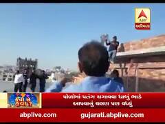 ધર્મેન્દ્રસિંહ જાડેજાએ કાર્યકર્તાઓ સાથે પતંગ ચગાવીને કરી ઉત્તરાયણની ઉજવણી, જુઓ વીડિયો 