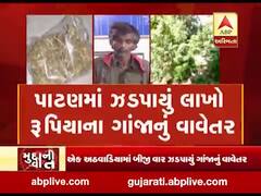 મુદ્દાની વાતઃ પાટણમાં ઝડપાયું લાખો રૂપિયાના ગાંજાનું વાવેતર, જુઓ અહેવાલ