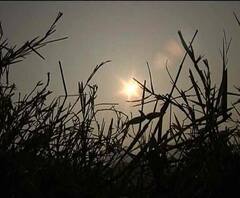 পাহাড়ে বৃষ্টির ভ্রুকূটি, জাঁকিয়ে ঠান্ডার পূর্বাভাস, দক্ষিণবঙ্গে আরও নামবে পারদ 