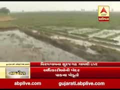 વિરમગામઃ 300 વીઘા જમીનમાં નર્મદા કેનાલના પાણી ફરી વળ્યા, જુઓ ગ્રાઉન્ડ રિપોર્ટ