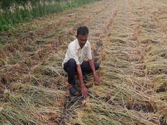 સુરતના ખેડૂતો માટે સારા સમાચાર, જમીન માપણી માટેનો સમય વધારાયો