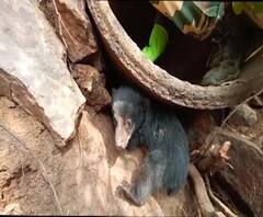 Rural News | माझं गाव माझा जिल्हा | गावाकडच्या बातम्यांचा वेगवान आढावा | 21 जानेवारी | ABP Majha