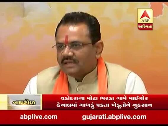 નર્મદા કેનાલમાં ભંગાણ મુદ્દે ભાજપ અધ્યક્ષ જીતુ વાઘાણીએ શું કહ્યું? જુઓ વીડિયો