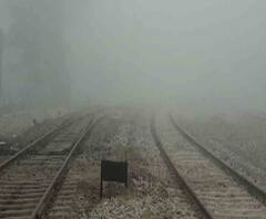 দার্জিলিং থেকে পশ্চিম বর্ধমান, হাওড়া, হুগলি, জেলায় জেলায় কোথাও ঘন কুয়াশা, কোথাও বৃষ্টি