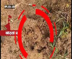 ঝাড়গ্রাম: সামনেই জঙ্গলমহলে শিকার উৎসব, এদিকে বাঘিনীর দেখা নেই এখনও 