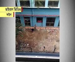 এনআরএস কুকুর নিধন মামলায় শিয়ালদা আদালতে চার্জ গঠন, পরবর্তী শুনানি ৭ ফেব্রুয়ারি