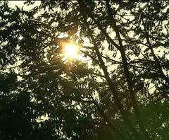 Reporter Stories: আগামী দু'দিনে তিন ডিগ্রি বাড়তে পারে তাপমাত্রা, নেই বৃষ্টির সম্ভবনা, জানাল আবহাওয়া দপ্তর