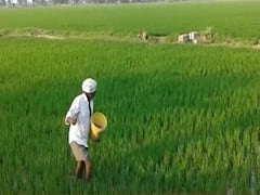 Is govt's decision of less Budget to Urea & MNREGA correct? | Master Stroke 