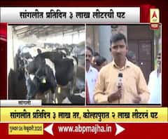 Milk Production | महापुरामुळे सांगलीतील दूध उत्पादन तीन लाख लिटरने घटलं! | ABP Majha