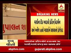 કુપોષણને અંકુશમાં લેવા બાળકોને 10 મરઘી,1 મરઘો આપવામાં આવશે, જુઓ વીડિયો
