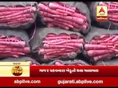 ગામની વાત, કામની વાત: પાટણમાં ગાજર પકવતા ખેડૂતો થયા માલામાલ, ઓછું વાવેતર છતાં મળ્યું મબલક ઉત્પાદન, જુઓ વીડિયો 