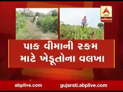 મુદ્દાની વાતઃ પંચમહાલના ખેડૂતોને વળતરની રાહ, જુઓ અહેવાલ 