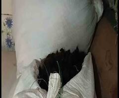 Reporter Stories: করোনা আতঙ্কে বন্ধ চুল ফ্যাক্টরি, তৈরি হচ্ছে না পরচুলা 