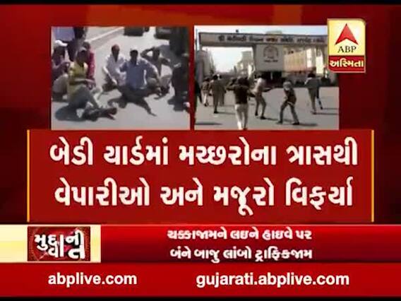 મુદ્દાની વાતઃ બેડી યાર્ડમાં મચ્છરોના ત્રાસથી વેપારી-મજૂરો વિફર્યા, જુઓ અહેવાલ 