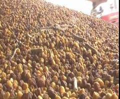 Toor Dal विक्रीचा ऑनलाईन नोंदणी करण्यासाठी मुदतवाढ | ABP Majha