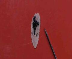 Reporter Stories: চিঁড়ের ওপর ভারতের ক্ষুদ্রতম মানচিত্র এঁকে ইন্ডিয়া বুক অফ রেকর্ডস-এ নাম তুলল নদিয়ার শাওন পাল