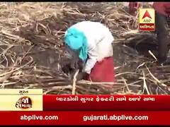 દક્ષિણ ગુજરાતના સુગર ફેક્ટરીના મજૂરોએ શરૂ કરી અચોક્કસ મુદ્દતની હડતાળ, જુઓ વીડિયો