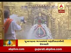 ગામની વાત, કામની વાતઃ દેશભરમાં મહાશિવરાત્રિની ધામધૂમથી ઉજવણી, જુઓ વીડિયો