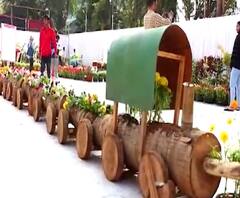 Flower Exhibition | मुलुंडमध्ये झाडं, फुलं, फळं आणि भाज्यांचं प्रदर्शन | ABP Majha