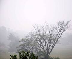 পারদ নামল ২ ডিগ্রি, আগামী ২ দিন আরও বাড়বে শীত, পূর্বাভাস