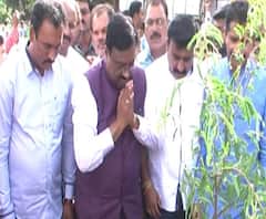 Majha Vishesh | कुणी दाखवेल का 50 कोटी वृक्ष? | ABP Majha