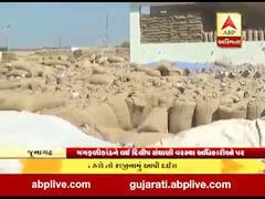 એક પછી એક થતાં મગફળી કૌભાંડને લઇને અધિકારીઓ પર બગડ્યા દિલીપ સંઘાણી, જુઓ વીડિયો