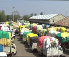 Vidarbha Farmers | विदर्भातला कापूस उत्पादक बळीराजा दुहेरी संकटात, तीन दिवस रांगेत राहूनही विक्री नाही
